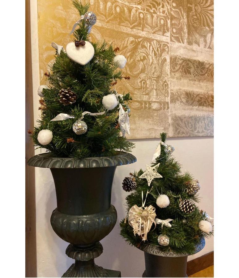 Albergo Garni Cavento Pinzolo Extérieur photo